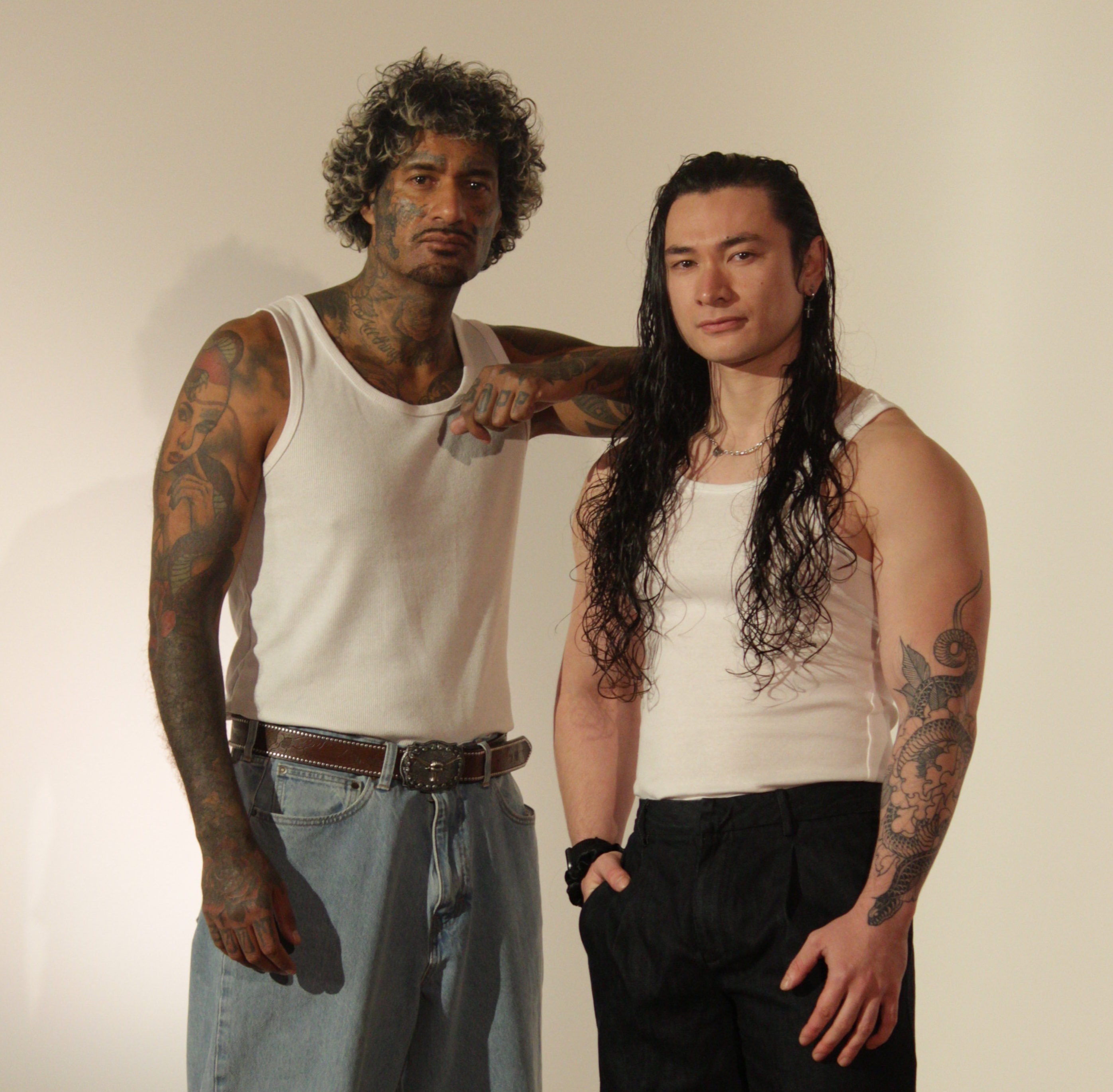 Vanquish Laser mission